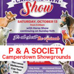 sponsor-logos-p&asoc sponsor-logos-p&asoc
